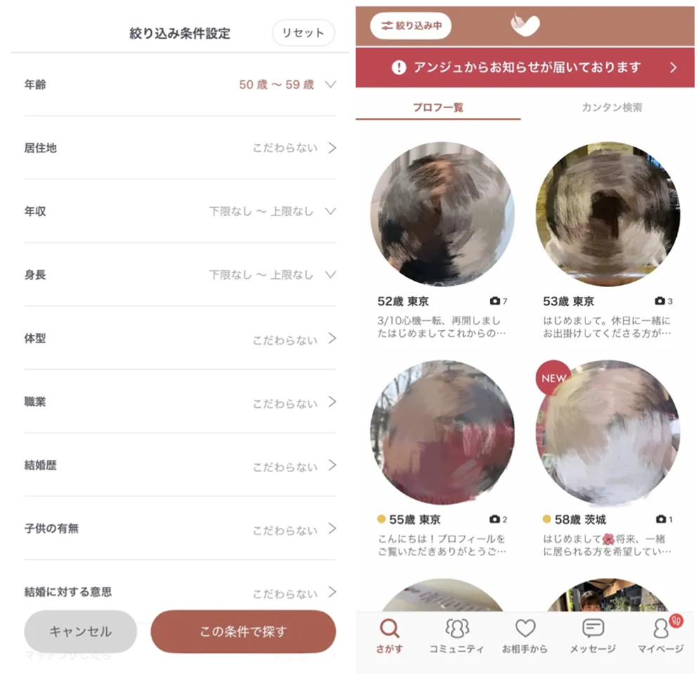 アンジュの50代ユーザーの利用率を調査