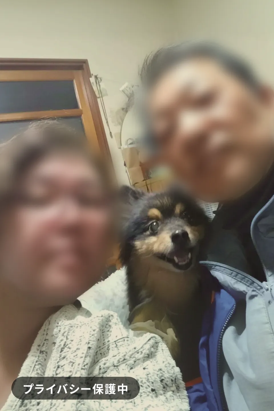 カップル報告「犬の散歩から始まった素敵なご縁と未来」